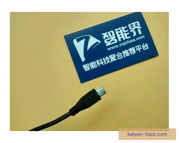 开云入口官方平台全新升级体验指南与功能解析畅玩攻略安全保障说明