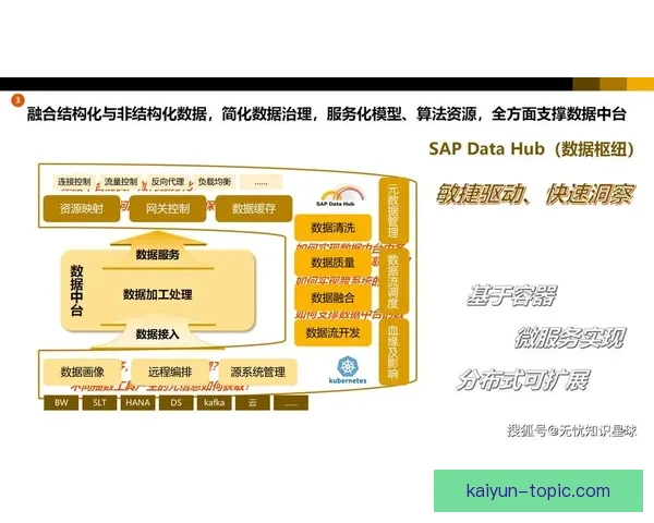 开云平台助力数字化转型与创新应用推动企业高效发展 开云平台助力数字化转型与创新应用推动企业高效发展