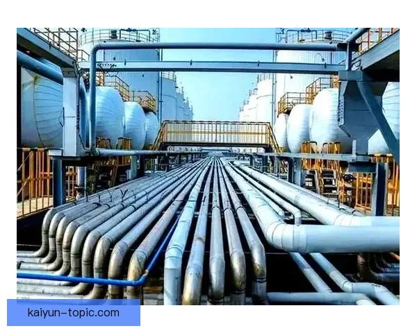 以开云地址为核心打造安全稳定高效访问体验的全面指南与优化策略解析